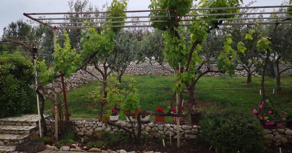 Apartments Tara Ražanac Dış mekan fotoğraf